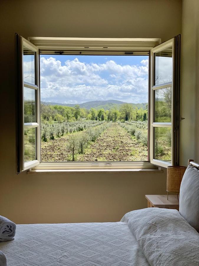 Terravita Winery & Boutique Apartments Suvereto Exterior foto